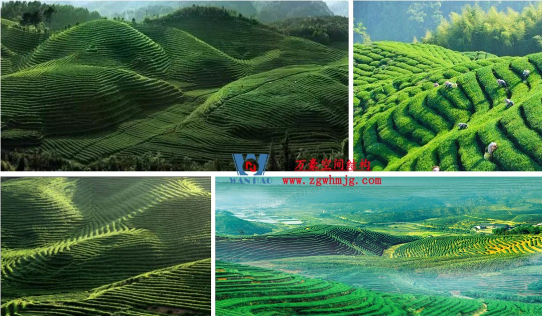 博多森谷項目中庭etfe膜結構工程