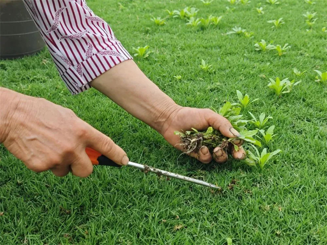 萬豪集團(tuán)匠心助力，6月齊聚重慶龍興足球場為國足吶喊助威！